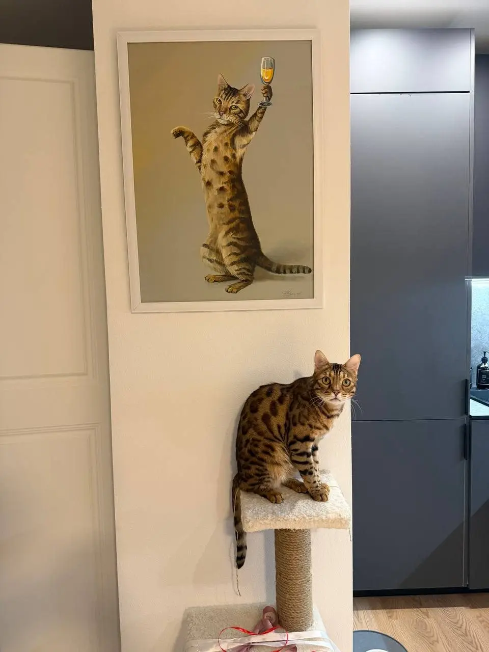 Потерян кот Мартин, Москва